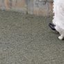 Wedding shoes. Harriet wilde. Medium height heal.  Size 5 Image 5