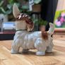 German porcelain terrier Image 6