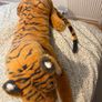 Large Tiger Image 4