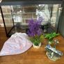 fish tank Image 2