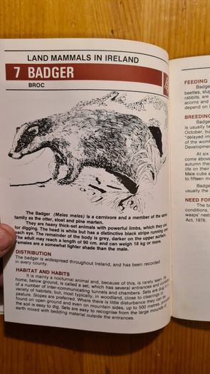 Land Mammals In Ireland. Issued By Forest And Wildlife Service. Leesonane Dublin. Booklet.1986.