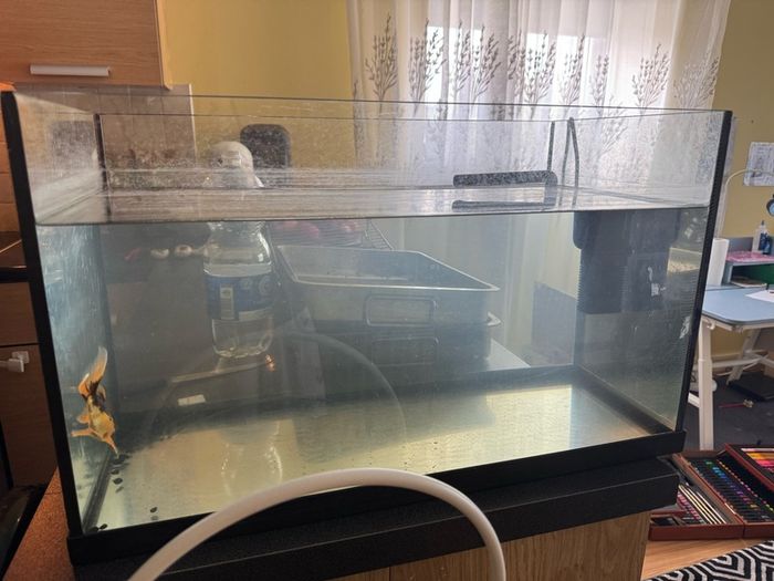 Fish tank
