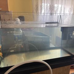 Fish tank