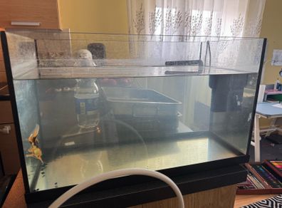 Fish tank