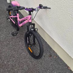 Girls 20 Inch Bike