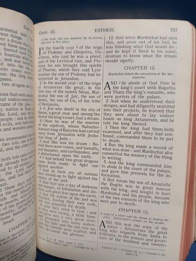 Vintage Douay Bible