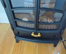 Electric fire