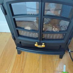 Electric fire