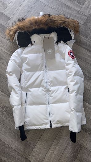Canada goose