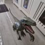 2ft dinosaur jurassic world raptor (blue) Image 2