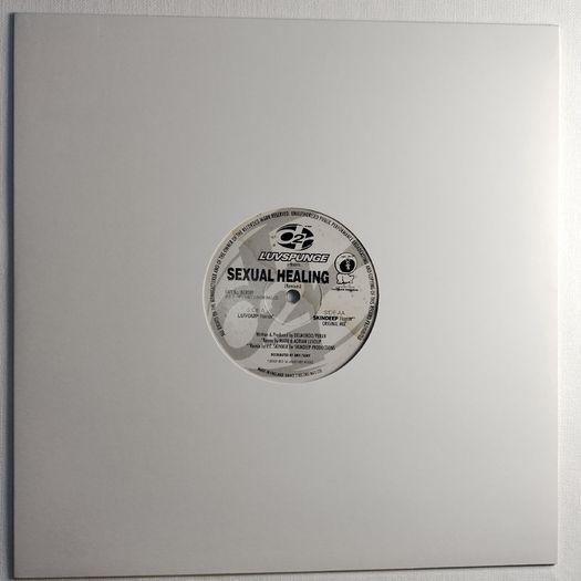 Luvspunge - Sexual Healing - Dance 2 Recordings - TOP Quality SIDES 90s HOUSE!