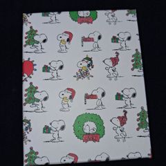 Only 1 Euro Each!! - Brand New Graphique Snoopy Christmas Gift Card/Money Boxes - RRP - 2.79 Each