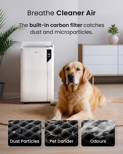 Pro Breeze 20L/Day Compressor Dehumidifier - Energy Efficient with Laundry Mode, Humidity Sensor, Carbon Air Filter for Mould, Damp & Moisture, for Home & Bedroom - WHICH? BEST BUY DEHUMIDIFIER AWARD