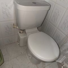 toilet and small sink