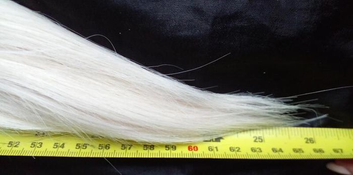 Ponytail extensions NEW