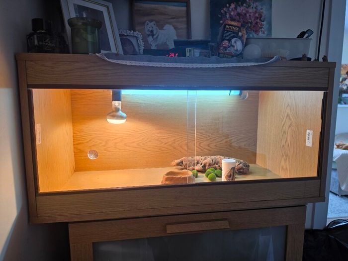 Terrarium