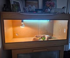 Terrarium