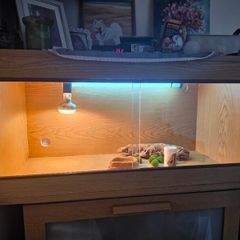 Terrarium