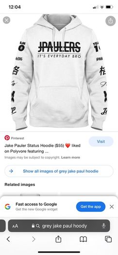 Unisex Grey Jake Paul Hoody Size Small