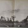 Pink Floyd : Atom heart mother , Harvest 2C06404550 ,(stereo), LP Gatefold France 1972, Vinyle VG+. Image 5