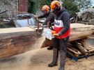 Sawmilling Image 2