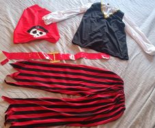 Pirate Halloween Costume