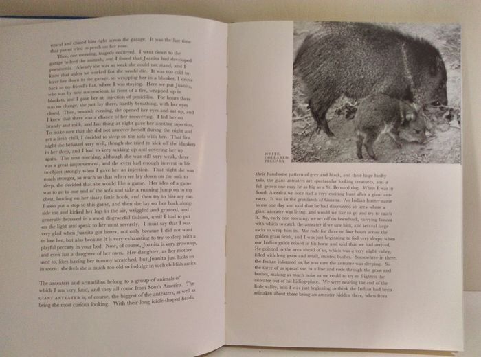 Vintage Different  Encyclopedia books