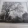 Framed Black And White Photo Print. Image 3