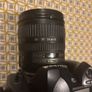 Nikon D70 Image 3