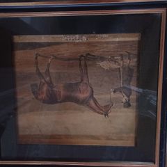 Framed print of Mameduke