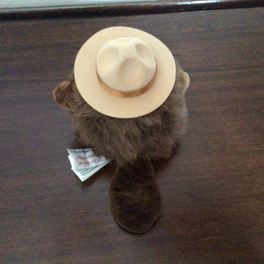 2 Small Collectible soft toys kangaroo and Beaver