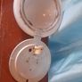 Opaline Ceiling/Bulkhead lights Image 4