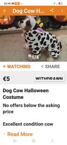 dog clothes would lady selling this please get invtouch