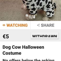 dog clothes would lady selling this please get invtouch