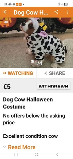 dog clothes would lady selling this please get invtouch
