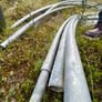 Poly Tunnel Frame (Heavy Duty) Image 3