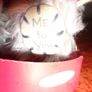 Me to You "I love You" Bear for Sale Image 5