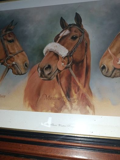 The Three Winter Kings" Framed Horse Racing Print (Hardy Eustace, Moscow Flyer, Kicking King)