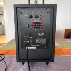Gale Sub 6 Subwoofer
