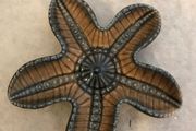Wade Porcelain Starfish Pin tray