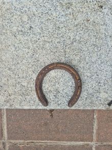 horse shoe