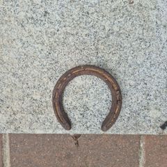horse shoe