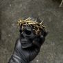 Skull with Crown of Thorns Image 4