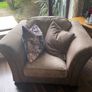 Sofa/Couch suite Image 5