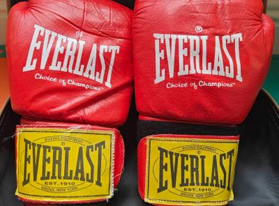 Gloves and Focus mits