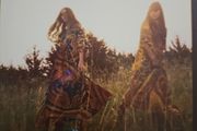 First Aid Kit - The Lion's Roar.
