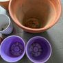 6 plant pots 3 ceramic and 3 plastic Image 3