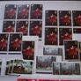 A valuable collection of Mint Elizabeth II Commemorative stamps Image 9