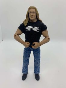 wwe elite the best of attitude era Triple H DX action figure