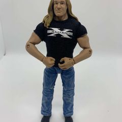 wwe elite the best of attitude era Triple H DX action figure